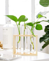 Triple Glass Planter Stand, Modern Flower Vase Stand