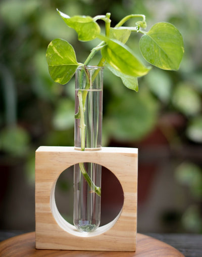 Glass Planter Stand, Hydroponic plant Vase Stand