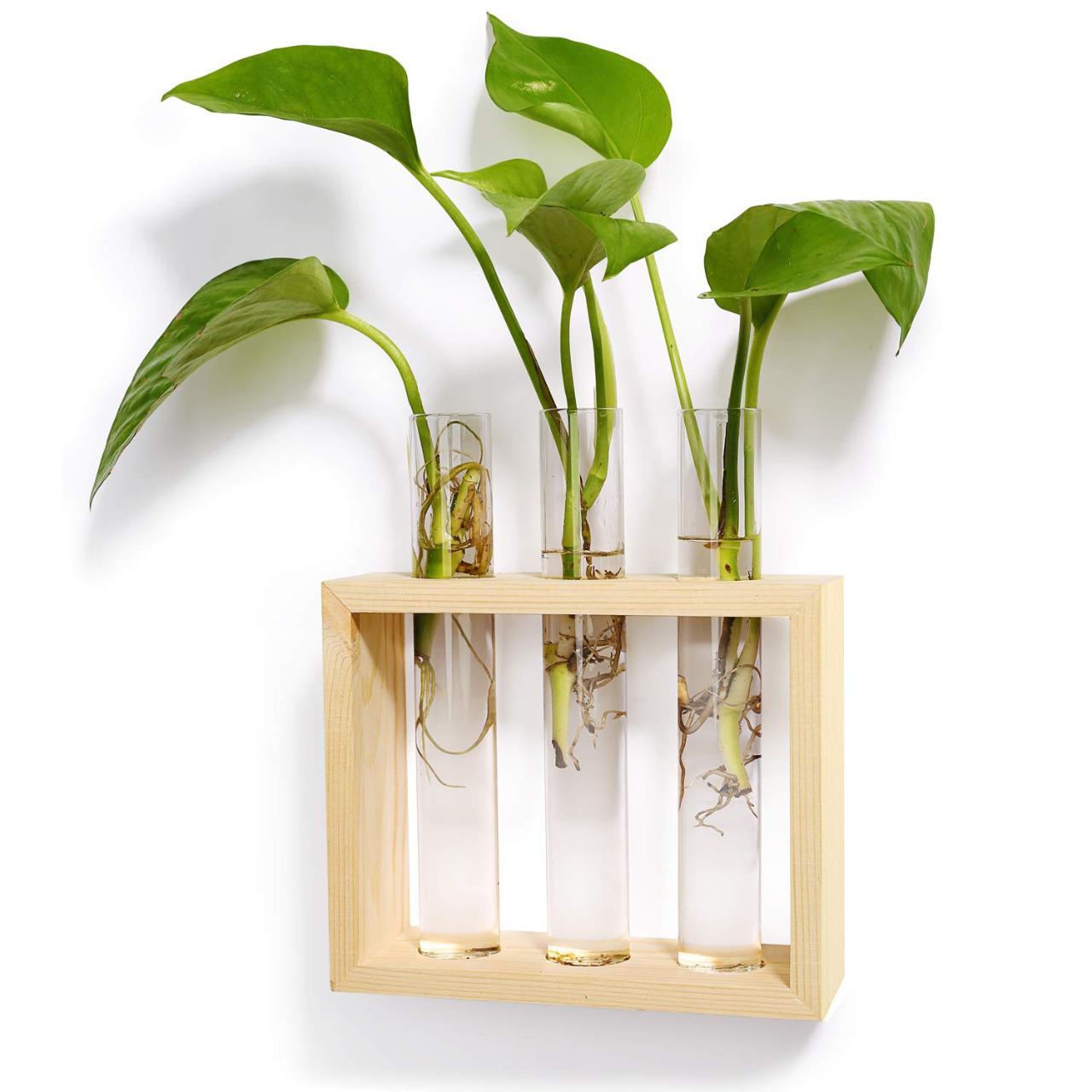 Triple Glass Planter Stand, Modern Flower Vase Stand